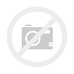 Elektromobilita | Zelená na cesty